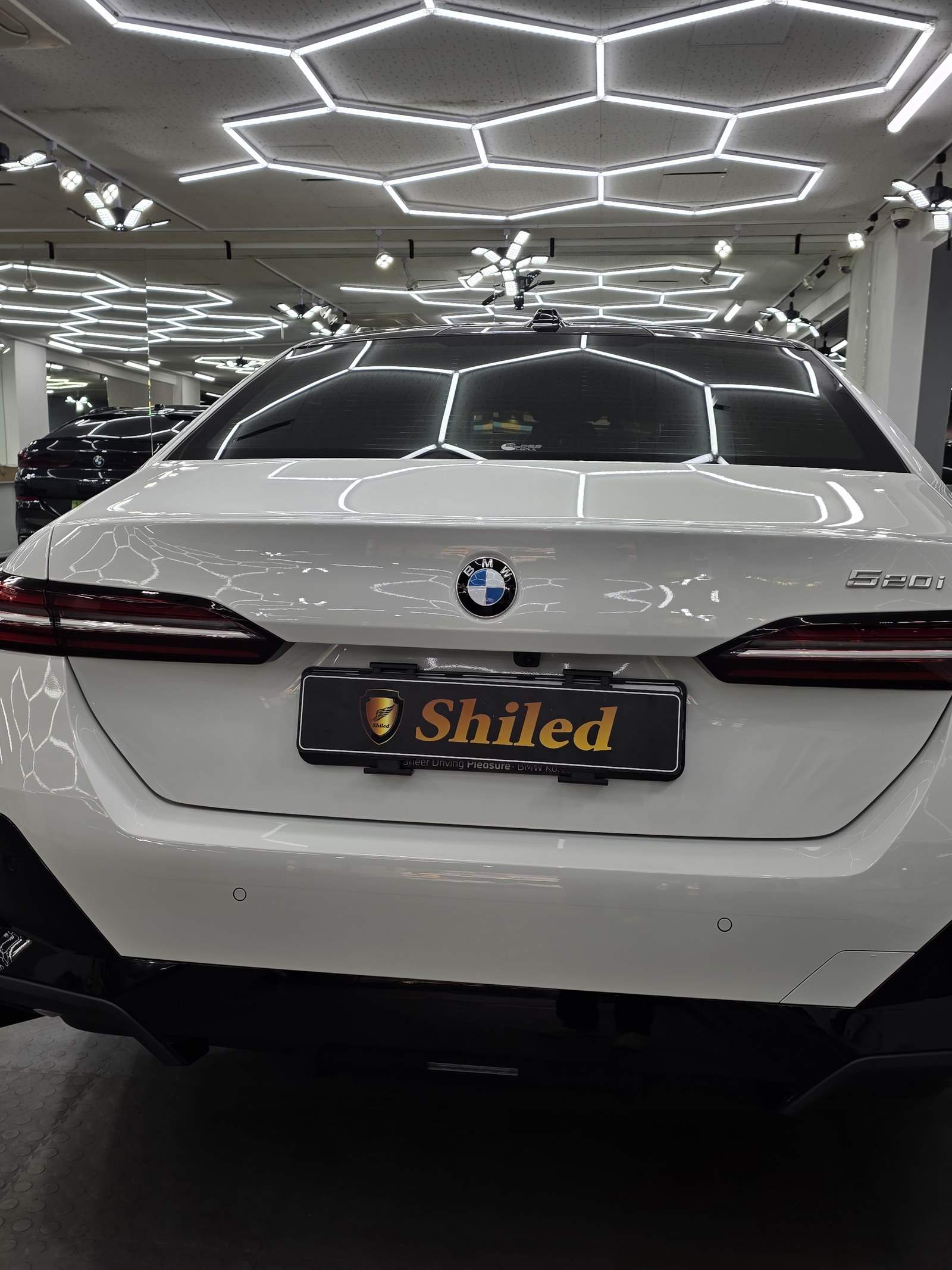 BMW 520i 백색 신차 후면 - 부산 쉴드광택 신차코팅